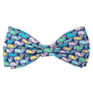 Spring Whales Bow Tie